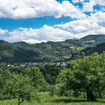 файно * Byalobereska