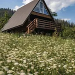 файно * Byalobereska