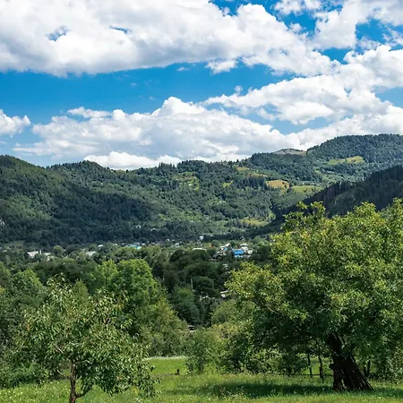 файно * Byalobereska