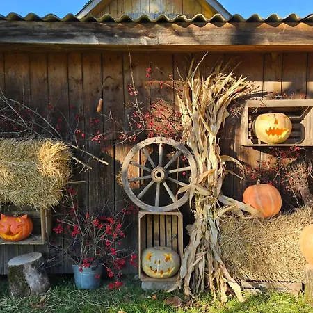 файно Byalobereska