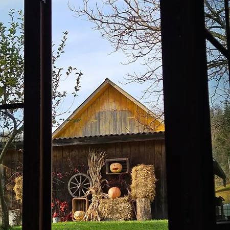 Orman Evi файно Byalobereska