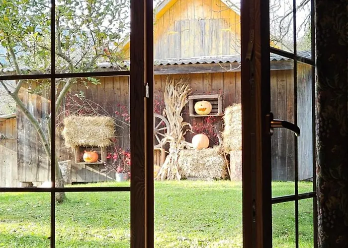 файно Orman Evi *