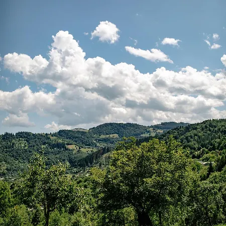 файно Byalobereska