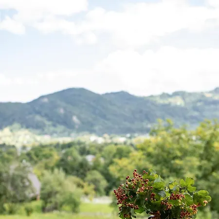 файно Lodge Byalobereska