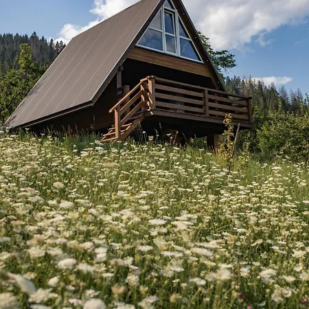 файно * Byalobereska